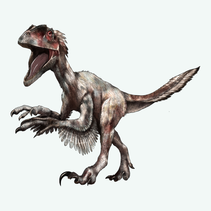 Deinonychus Premium Hoodie by LillyAllenDesigns | Teevron