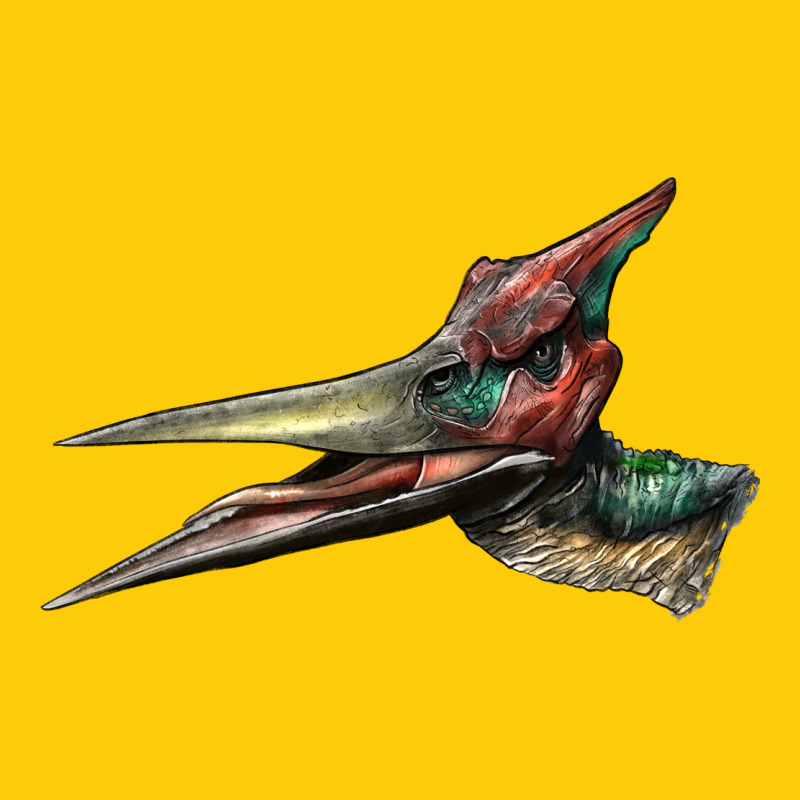 Pteranodon Face Premium Hoodie by LillyAllenDesigns | Teevron