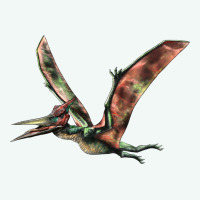 Pteranodon Premium Hoodie | Teevron