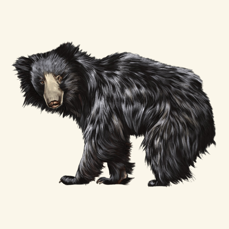 Sloth Bear Premium Hoodie by LillyAllenDesigns | Teevron