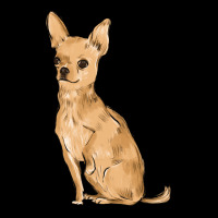 Chihuahua Urban Hoodie | Teevron