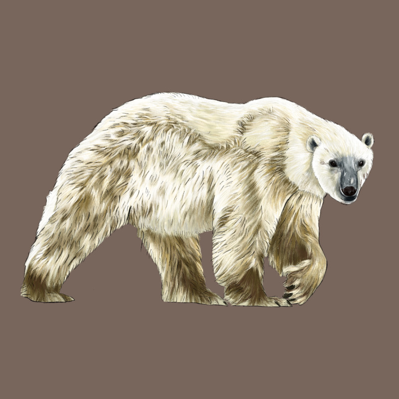 Polar Bear Premium Hoodie by LillyAllenDesigns | Teevron
