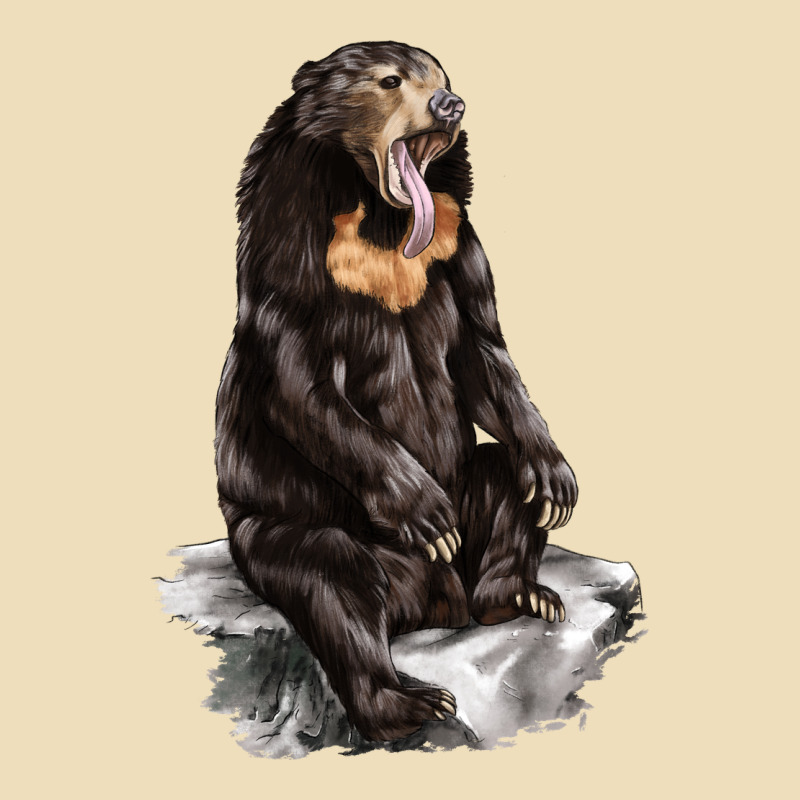 Malayan Sun Bear Premium Hoodie by LillyAllenDesigns | Teevron