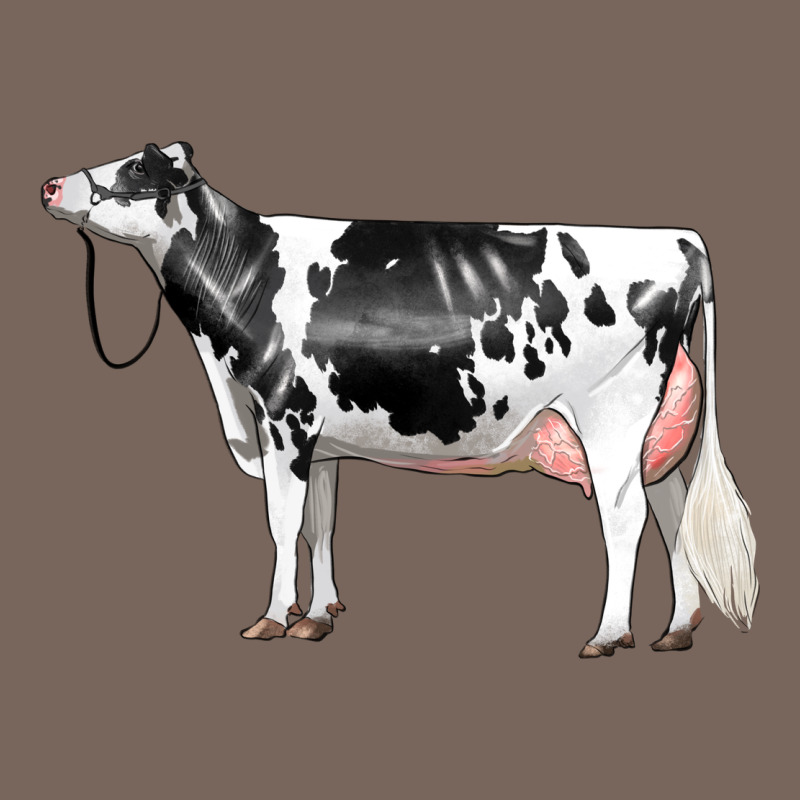 Holstein Dairy Cow Premium Hoodie by LillyAllenDesigns | Teevron