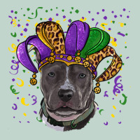 Mardi Gras Pitbull Zipper Hoodie | Teevron