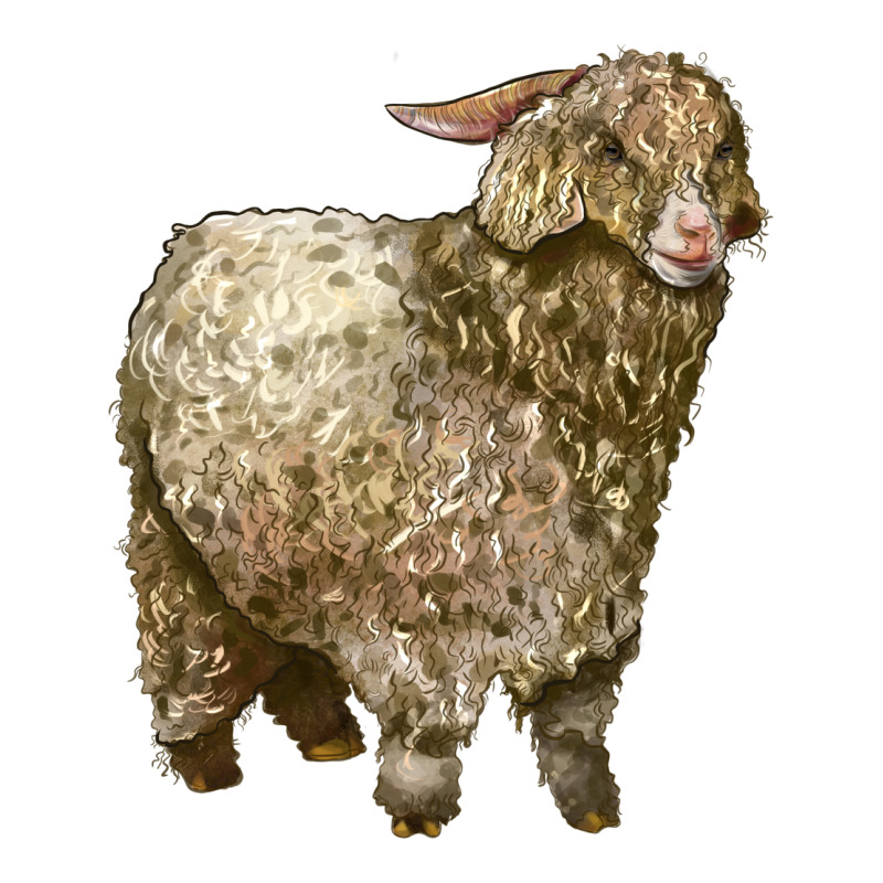 Angora Goat Premium Tee by LillyAllenDesigns | Teevron