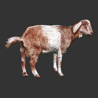 Nubian Goat | Teevron