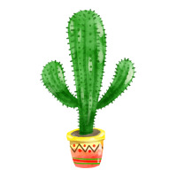 mexican cactus | Teevron