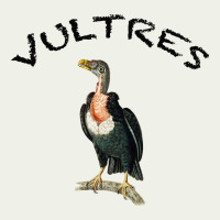 Vultures Urban Heavy Tee | Teevron
