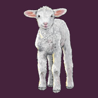 Merino Wool Baby Sheep Premium Tee | Teevron