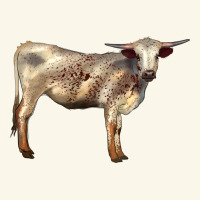 Texas Longhorn Heifer Premium Hoodie | Teevron