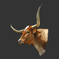 Texas Longhorn Cow Face | Teevron