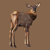 Elk Fawn Deer Premium Tee | Teevron