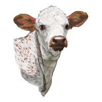 Texas Longhorn Calf Face | Teevron