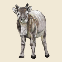 Reindeer Fawn Deer Premium Tee | Teevron