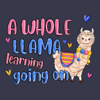 A Whole Llama Learning Going On Long Sleeve Tee | Teevron
