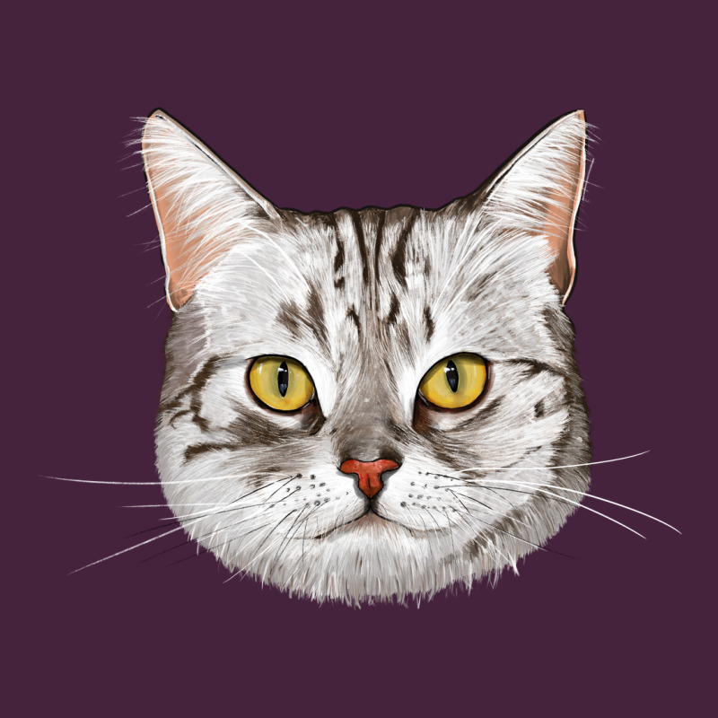 American Shorthair Cat Face Premium Tee by LillyAllenDesigns | Teevron