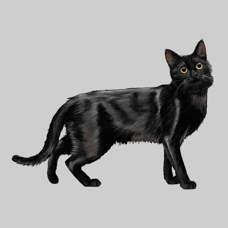 Bombay Cat Premium Tee by LillyAllenDesigns | Teevron