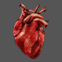 Anatomical Heart Zipper Hoodie | Teevron