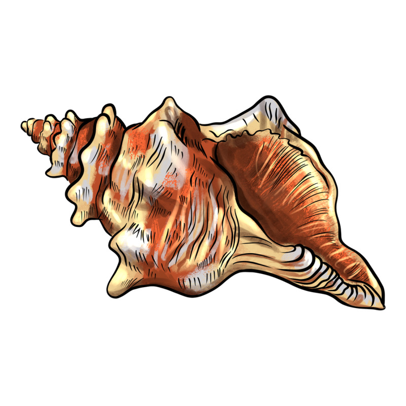 Sea   Shell Ladies Tee by BarkalooDesign | Teevron