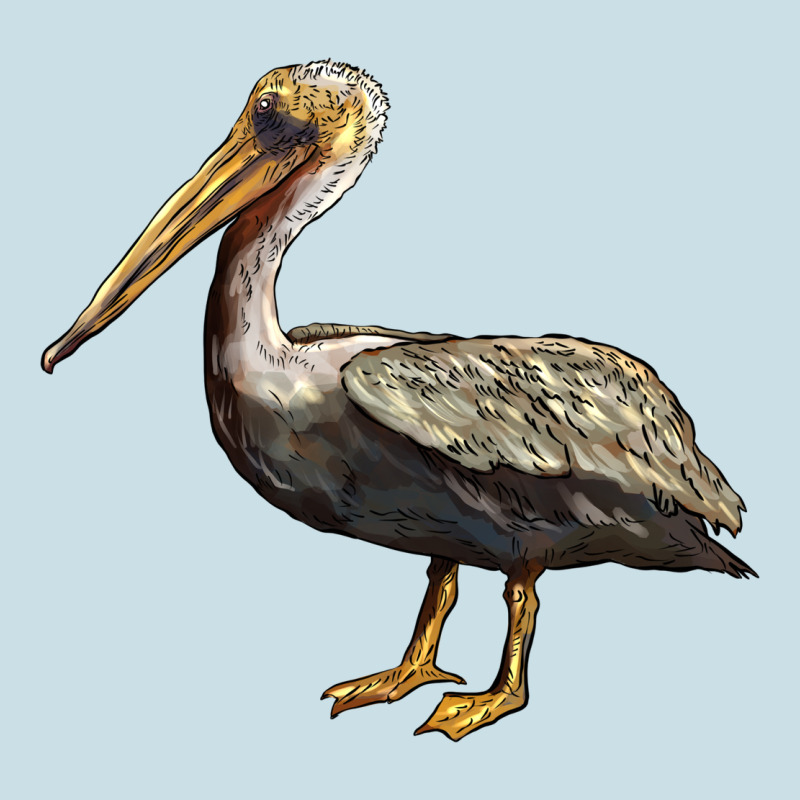 Louisiana State Bird Pelican Ladies Tee by BarkalooDesign | Teevron