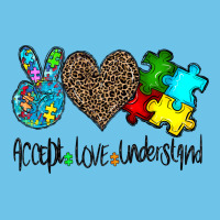 Accept Love Understand Premium Sweatshirt | Teevron