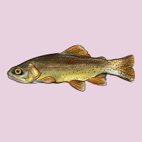 Arizona Apache Trout Fish Ladies Tee | Teevron