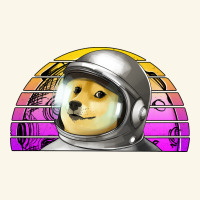 Dogecoin To The Mars Premium Hoodie | Teevron