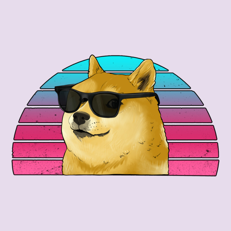 Doge Coin Bitcoin Hodl Retro Sunset Premium Hoodie by Jasminsmagicworld | Teevron
