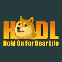 Hodl Hold On For Dear Life Dogecoin Premium Hoodie | Teevron