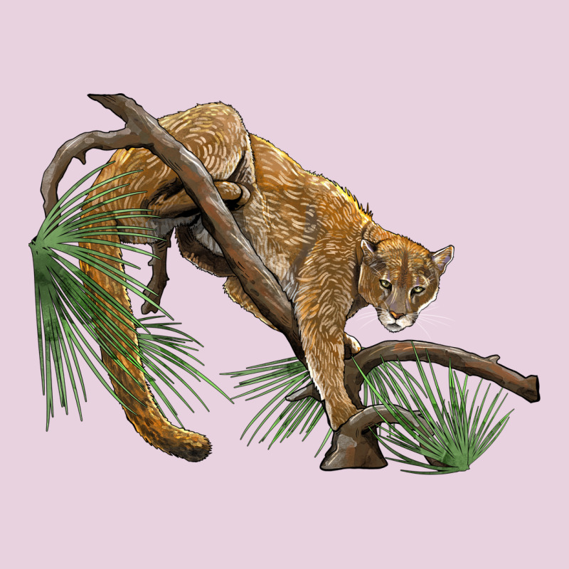 Florida Panther Ladies Tee by BarkalooDesign | Teevron