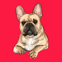 French Bulldog Sitting Zipper Hoodie | Teevron