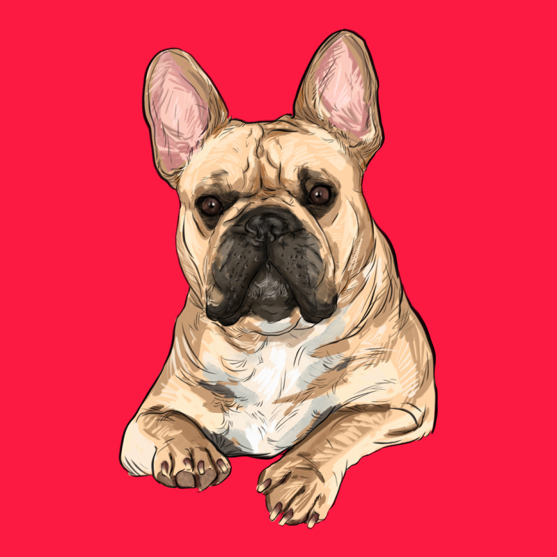 French Bulldog Sitting Zipper Hoodie by RanaPortraitStore | Teevron