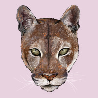 Florida Panther  Face Ladies Tee | Teevron