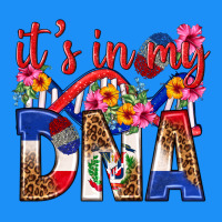 Its In My Dna Dominican Republic Classic Tee | Teevron