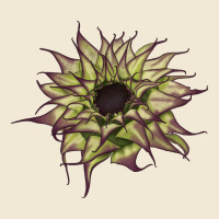 Sun   Fill Purple Sunflower Premium Tee | Teevron