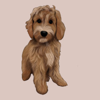 Maltipoo Premium Hoodie | Teevron