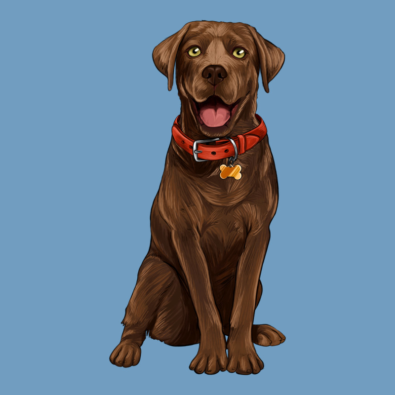 Chocolate Lab Labrador Retriever Urban Heavy Tee by Artiststas | Teevron