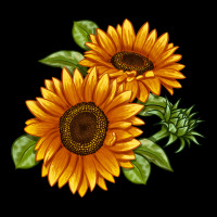 Soraya Sunflower Premium Tee | Teevron