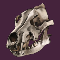 Wolf Skull Classic Tee | Teevron