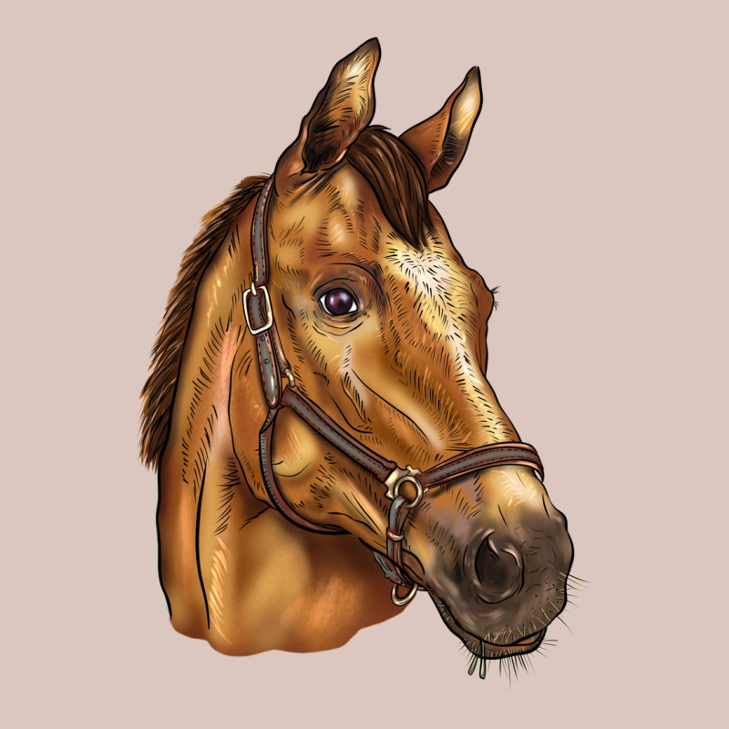 Horse Premium Hoodie by BarkalooDesign | Teevron