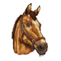 horse | Teevron