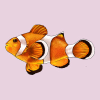Clown Fish Side Ladies Tee | Teevron