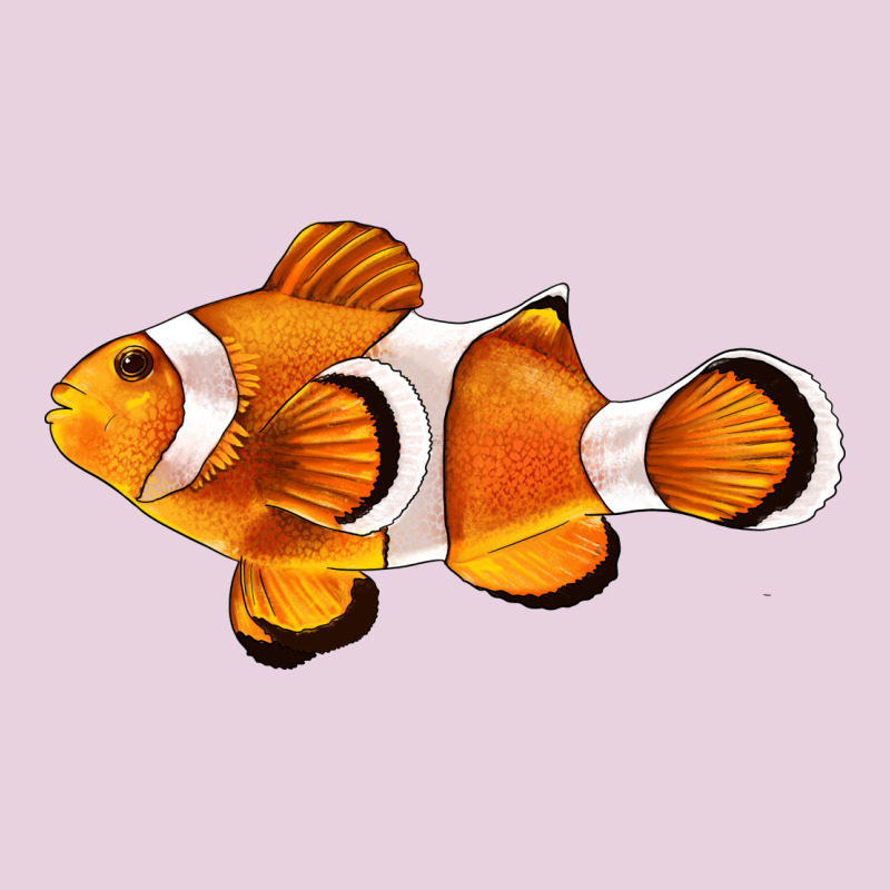 Clown Fish Side Ladies Tee by BarkalooDesign | Teevron