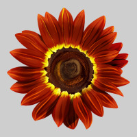 Rouge Royale Sunflower Premium Tee | Teevron