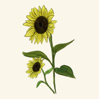 Buttercream Sunflower Premium Hoodie | Teevron