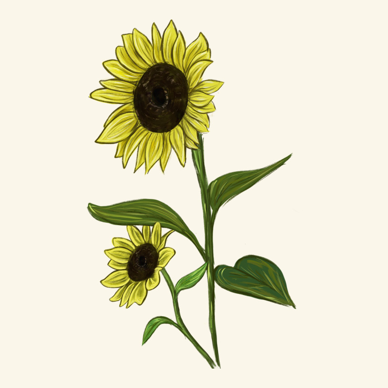 Buttercream Sunflower Premium Hoodie by LillyAllenDesigns | Teevron