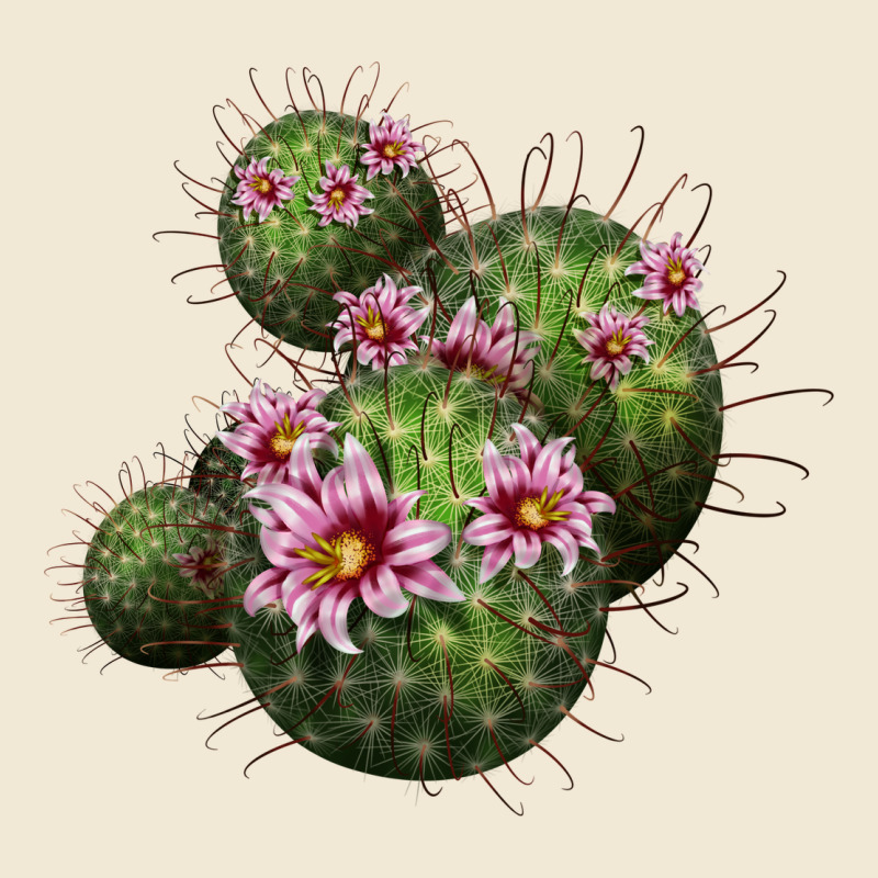 Arizona Fishhook Cacti Premium Tee by LillyAllenDesigns | Teevron