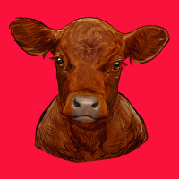 Red Angus Calf Classic Tee | Teevron