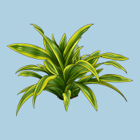 Lemon Lime Dracaena Leaf Premium Hoodie | Teevron